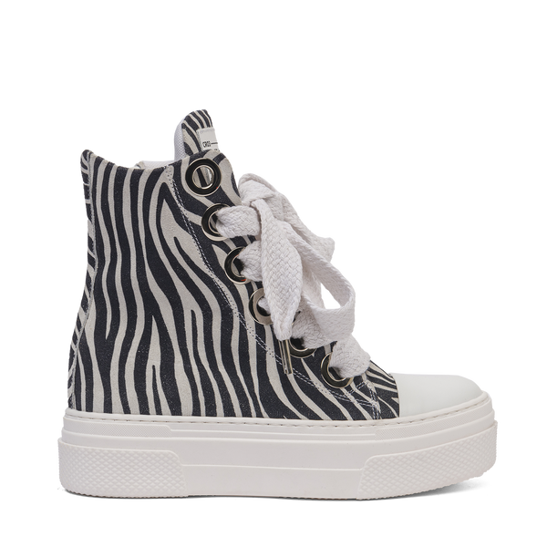 Calipso 300 Zebra